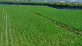 さゆなaちゃんの2016/7/4 (月) 11:43のブログ