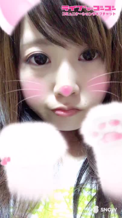にゃー🐾