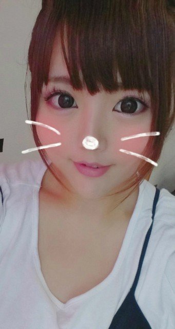 こんにちわんこ