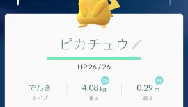 はやりにのりました笑