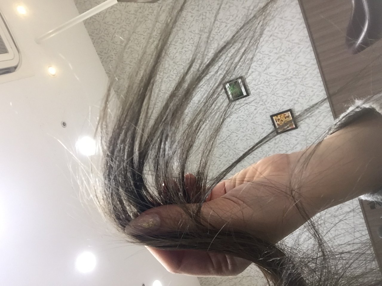 この前ʕ•̫͡•ʔ♬✧