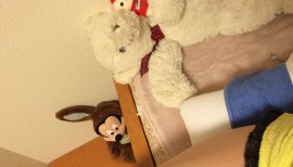 もらいました！