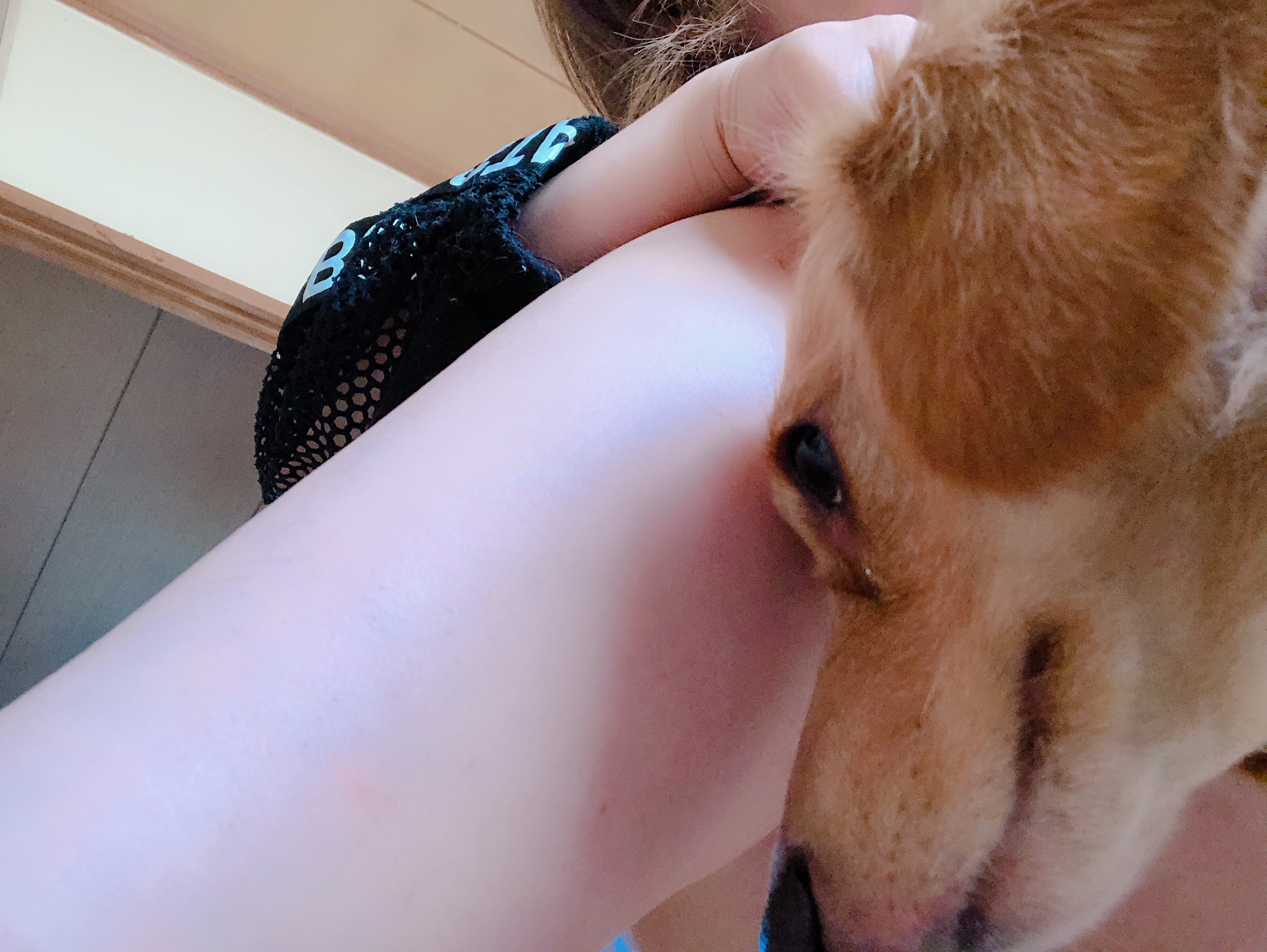 あ、ハロウィンか、、