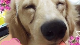 ちさのちゃんの2016/7/23 (土) 00:58のブログ