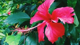 恵里奈ちゃんの2016/7/21 (木) 23:18のブログ