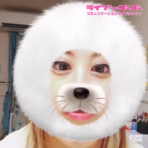 こんばんゎん❤(о´ω`о)