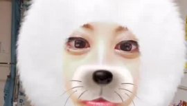 こんばんゎん❤(о´ω`о)