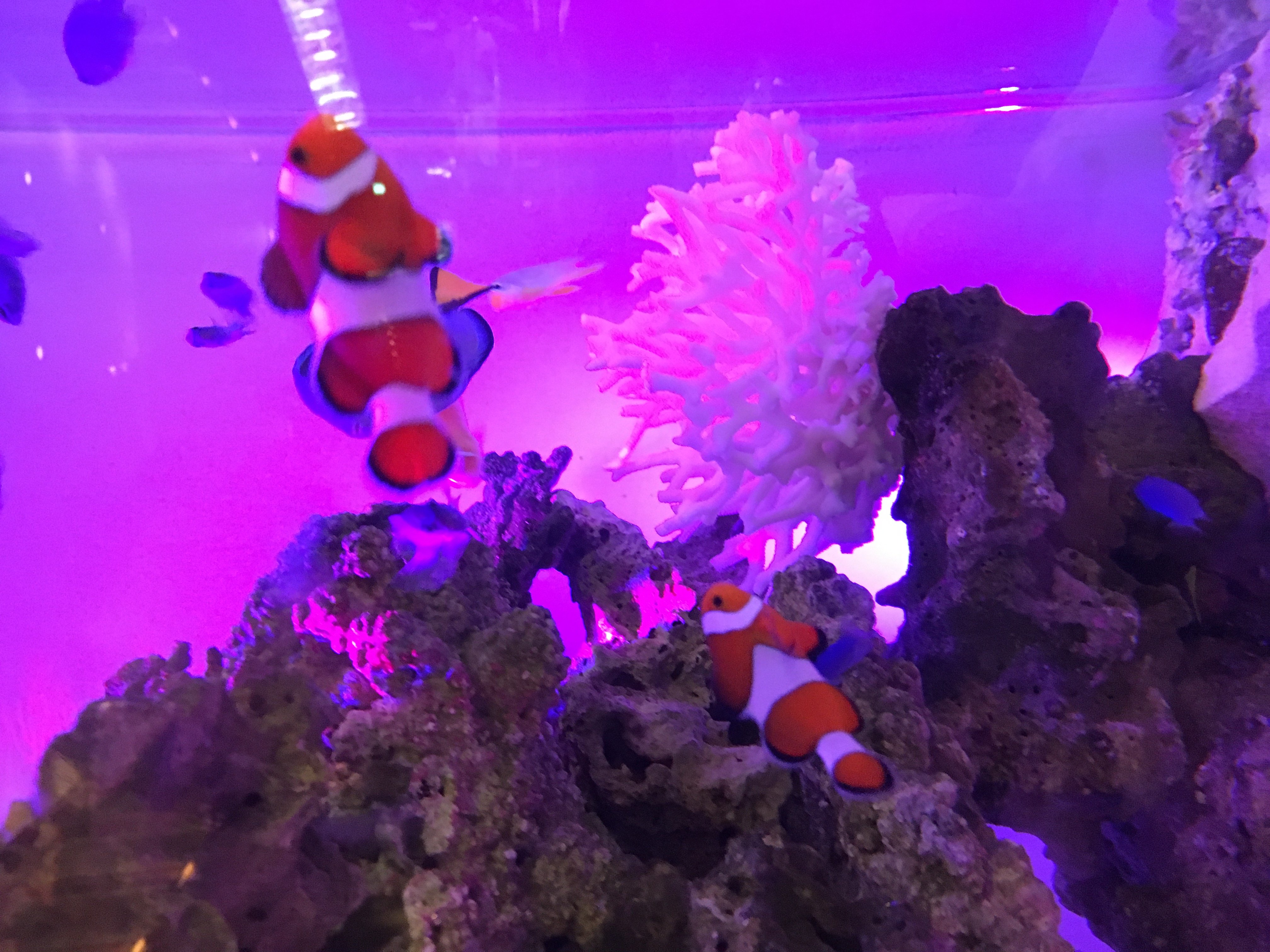 にも