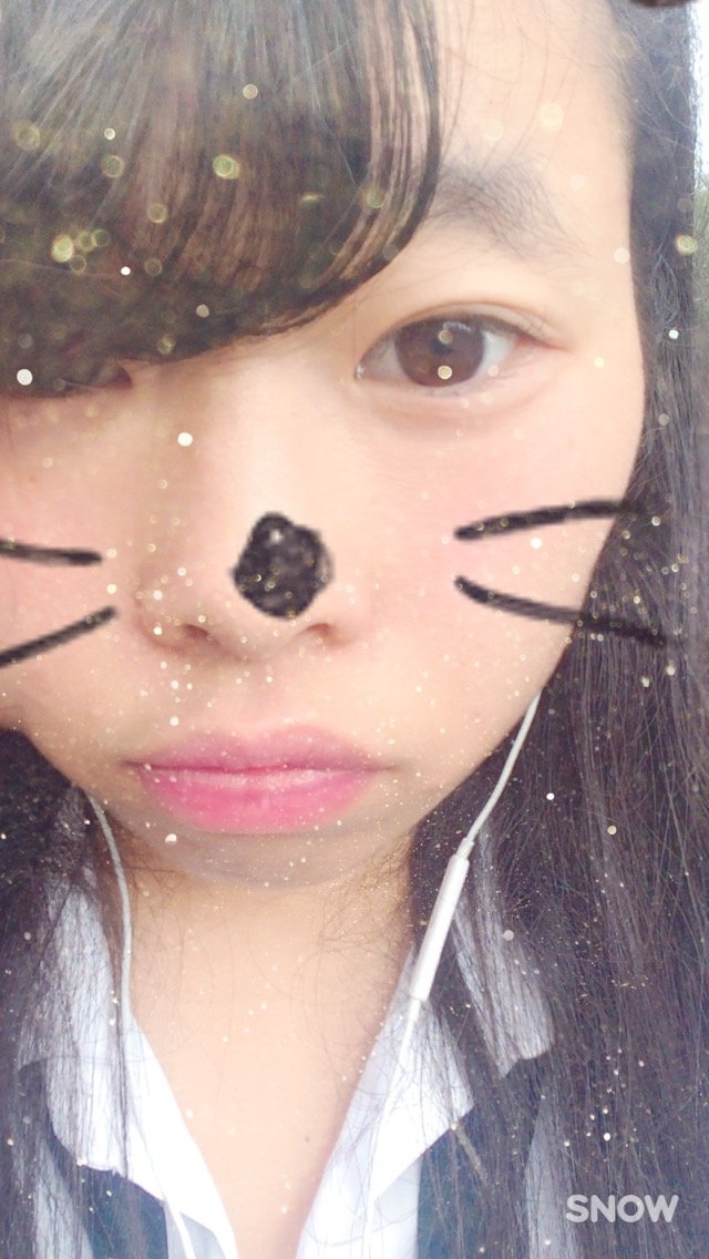 お久しぶりです