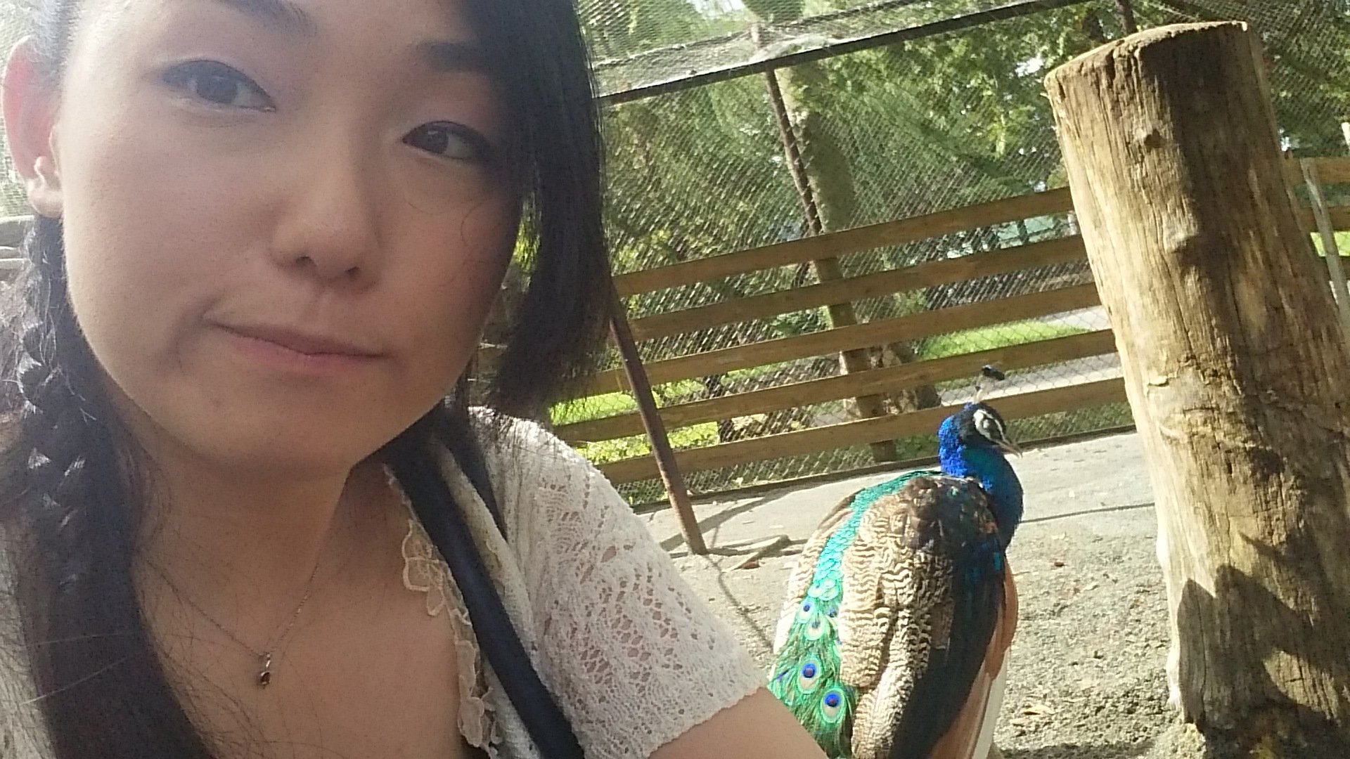 動物園行ってきた