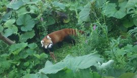 華たそちゃんの2016/10/3 (月) 16:22のブログ
