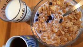 ポンポンタヌキちゃんの2016/10/5 (水) 20:09のブログ