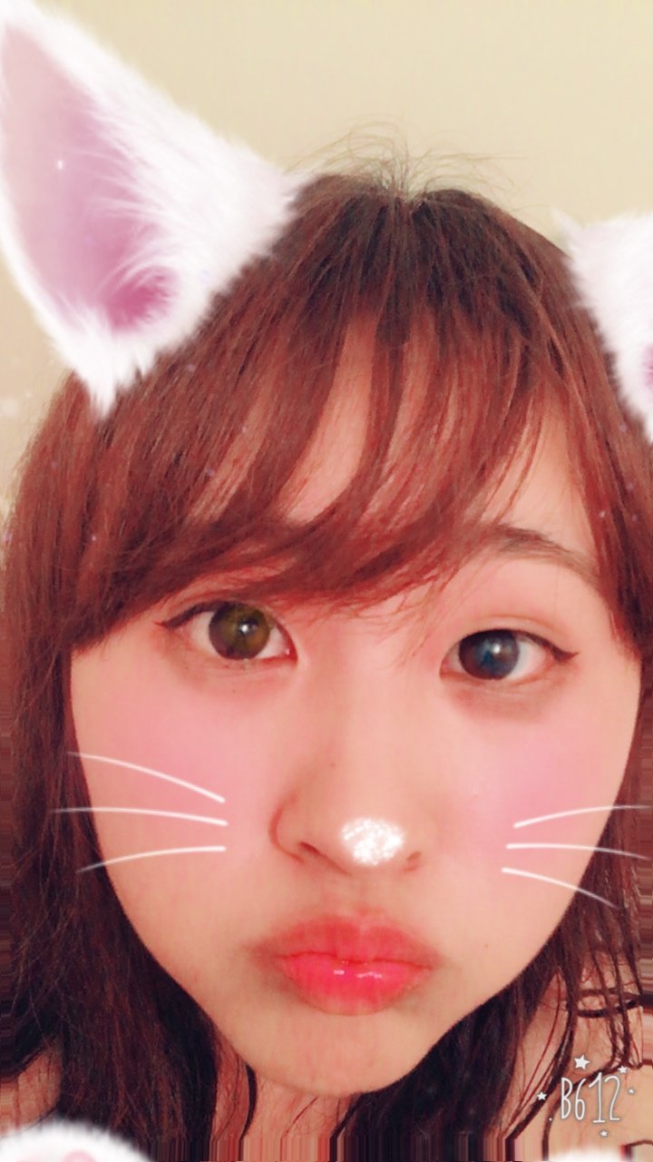 ねこねこねこ