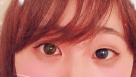 ねこねこねこ
