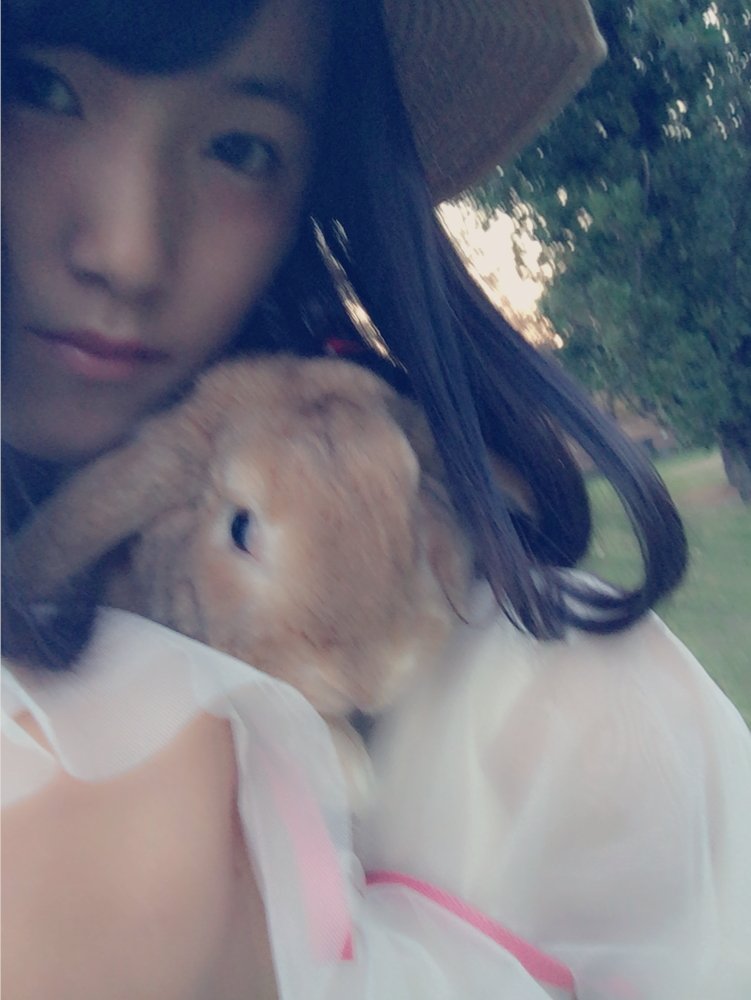 うさんぽ🐰