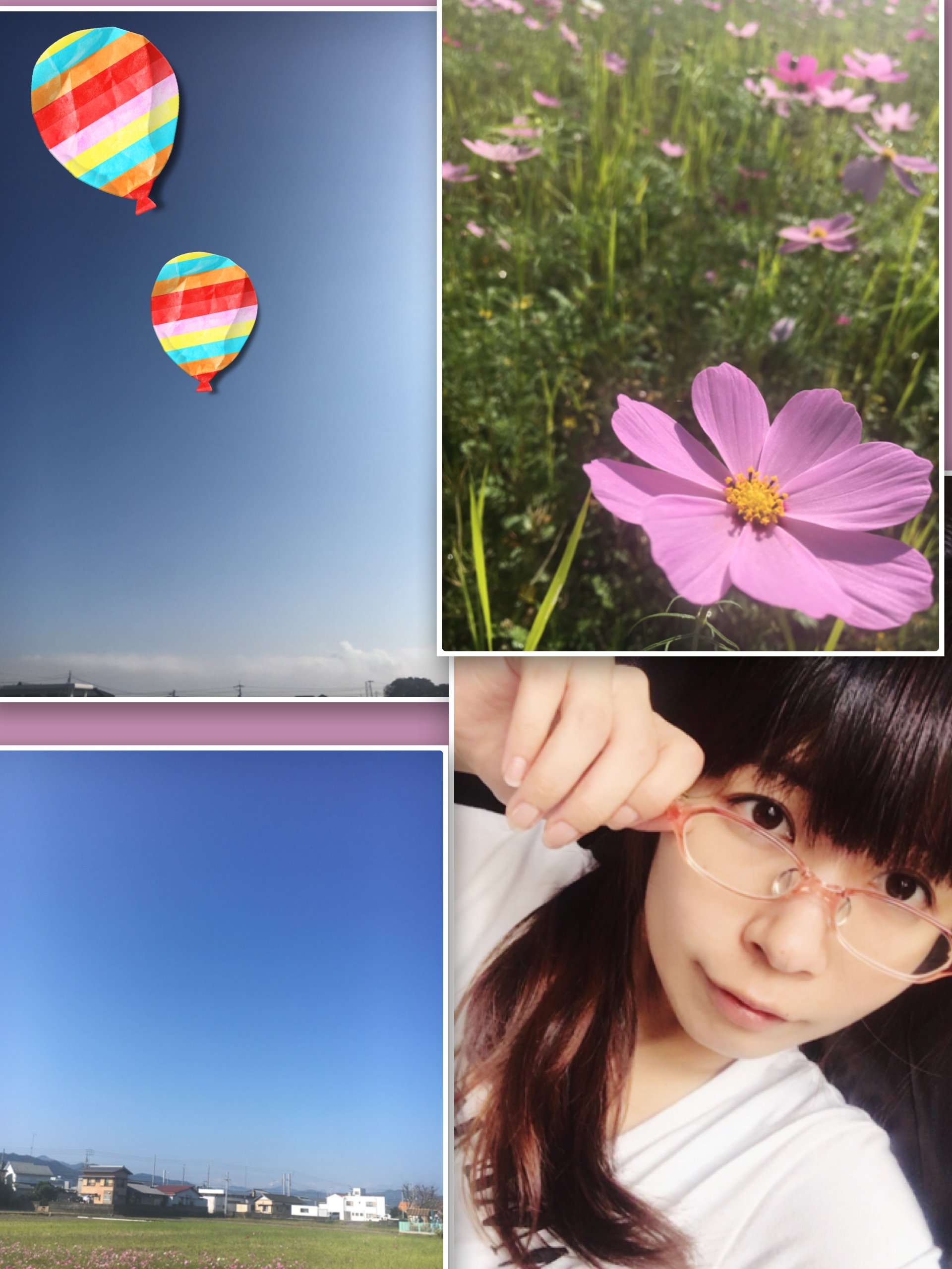 秋桜って(๑•́ ₃ •̀๑)