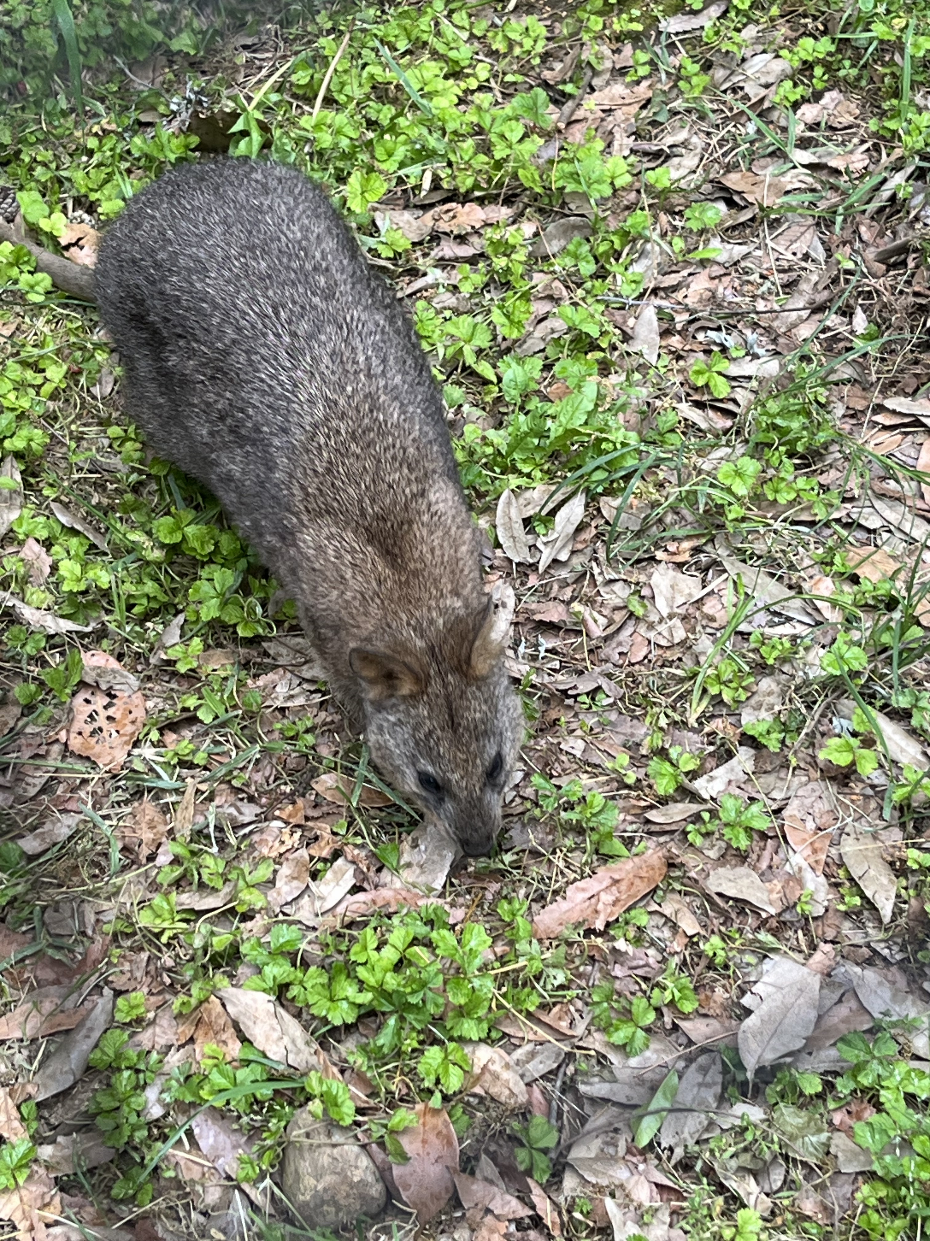 おはようございます??