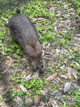 えみちちゃんの2024/5/7 (火) 06:18のブログ