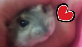 めろん１７ちゃんの2016/9/26 (月) 13:51のブログ