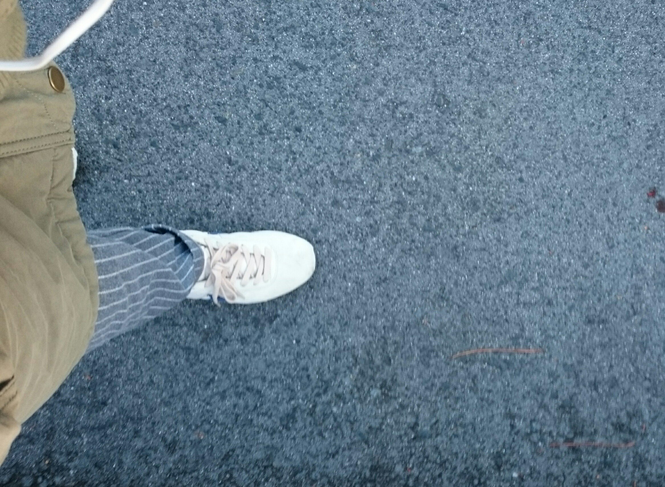 朝活ヽ(・∀・)ノ♪