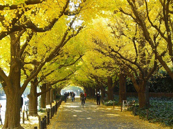 おはようございます( ´∀｀)