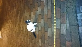 　あこちゃんの2016/11/1 (火) 08:45のブログ