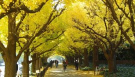 おはようございます( ´∀｀)