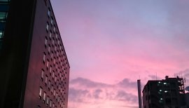 　あこちゃんの2017/7/12 (水) 20:08のブログ