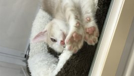 ☆紗那☆ちゃんの2016/10/2 (日) 22:22のブログ