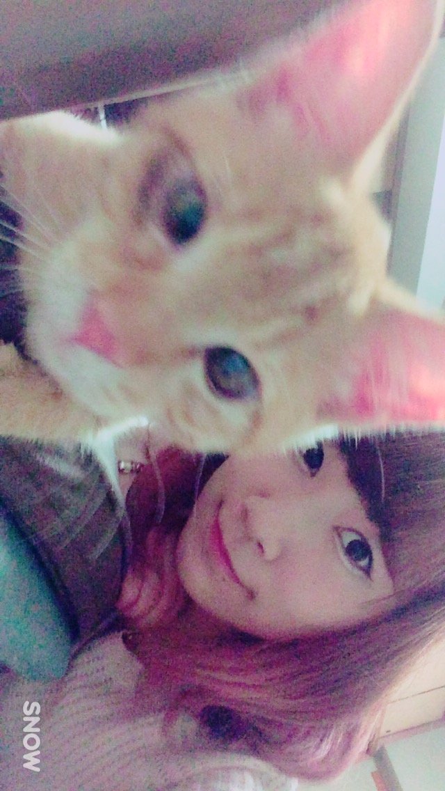 ネコちゃんが遊びに来ています…！♪