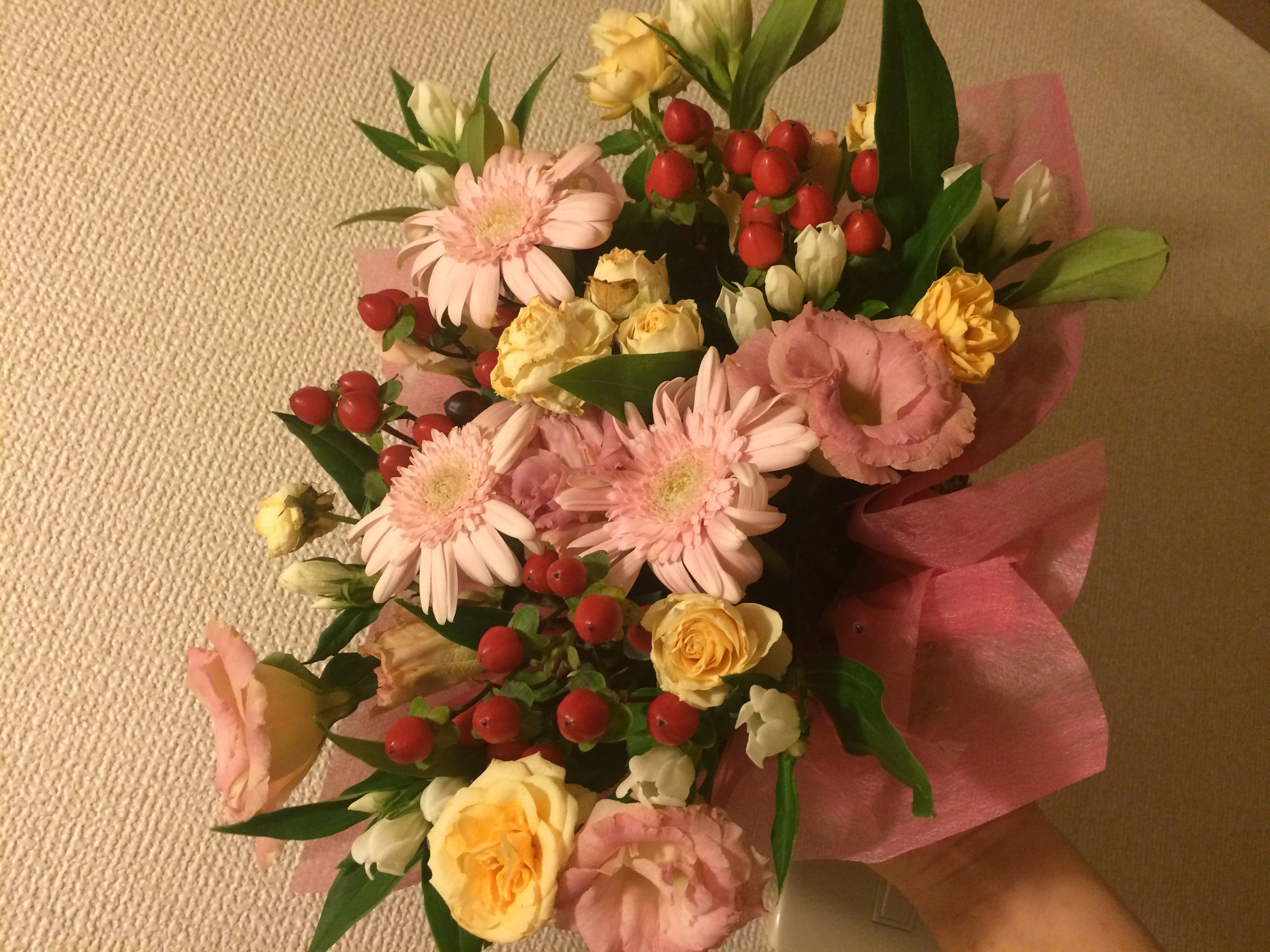 すてきやぁ〜(Ｔ＿Ｔ)