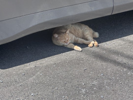 みあちゃんの6/21 (土) 10:02のブログ
