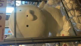 あやみるちゃんの2016/12/11 (日) 15:02のブログ