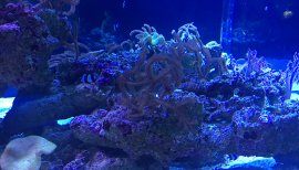 あやみるちゃんの2016/12/15 (木) 07:20のブログ