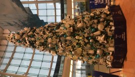 あやみるちゃんの2016/12/12 (月) 06:59のブログ