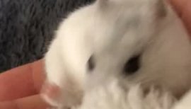 .ちゃんるなちゃんの2018/3/3 (土) 00:21のブログ