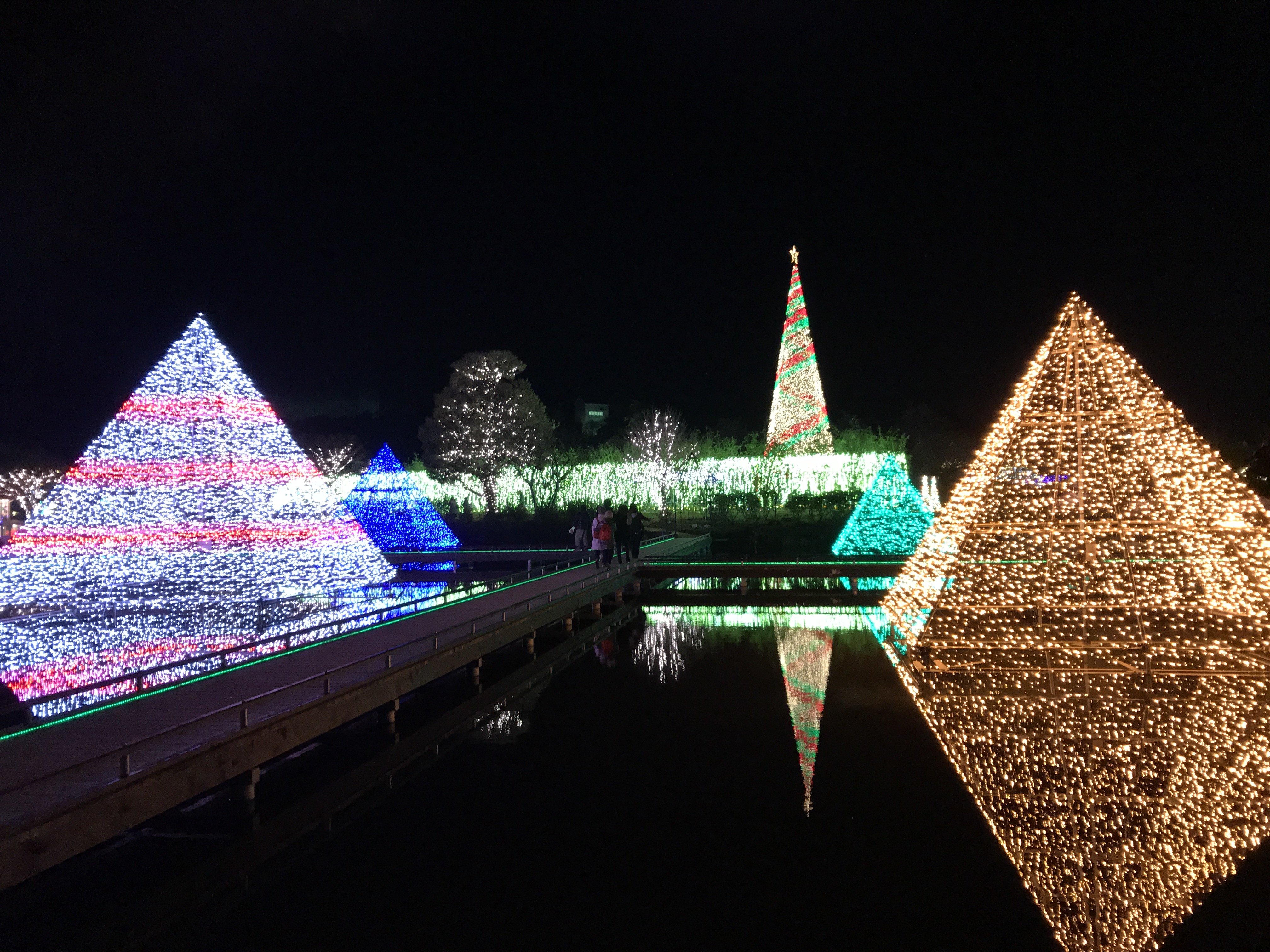 おはよーございます☆
