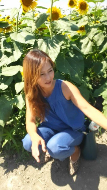 ひまわりちゃんに