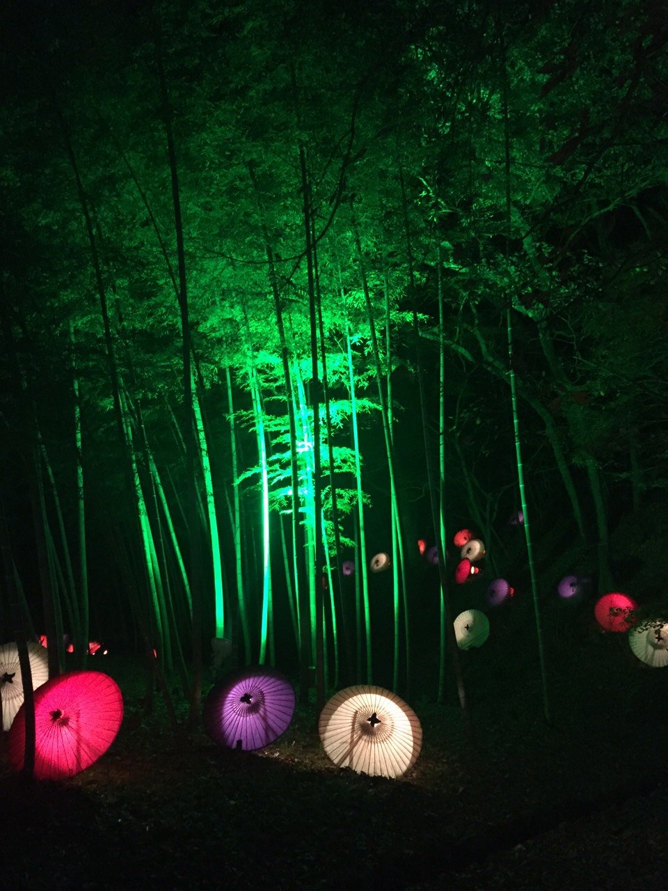 誰かメールができる人宜しく😉👍🎶