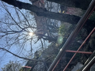 太陽にてらされてる