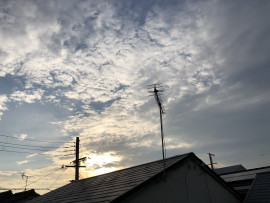 しずくちゃんの2020/9/5 (土) 17:03のブログ