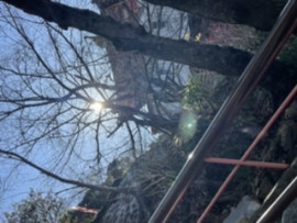 しずくちゃんの2022/2/16 (水) 08:37のブログ