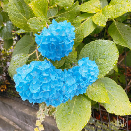 梓沙ちゃんの2020/6/10 (水) 22:42のブログ