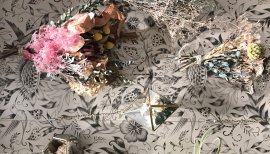 nちゃんの2017/1/25 (水) 13:49のブログ