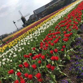 ＊ただいま