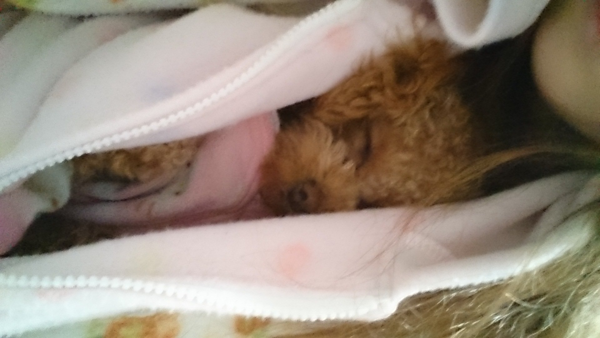 ありちゃ☆ちゃんの2015/1/23 (金) 21:49のブログ