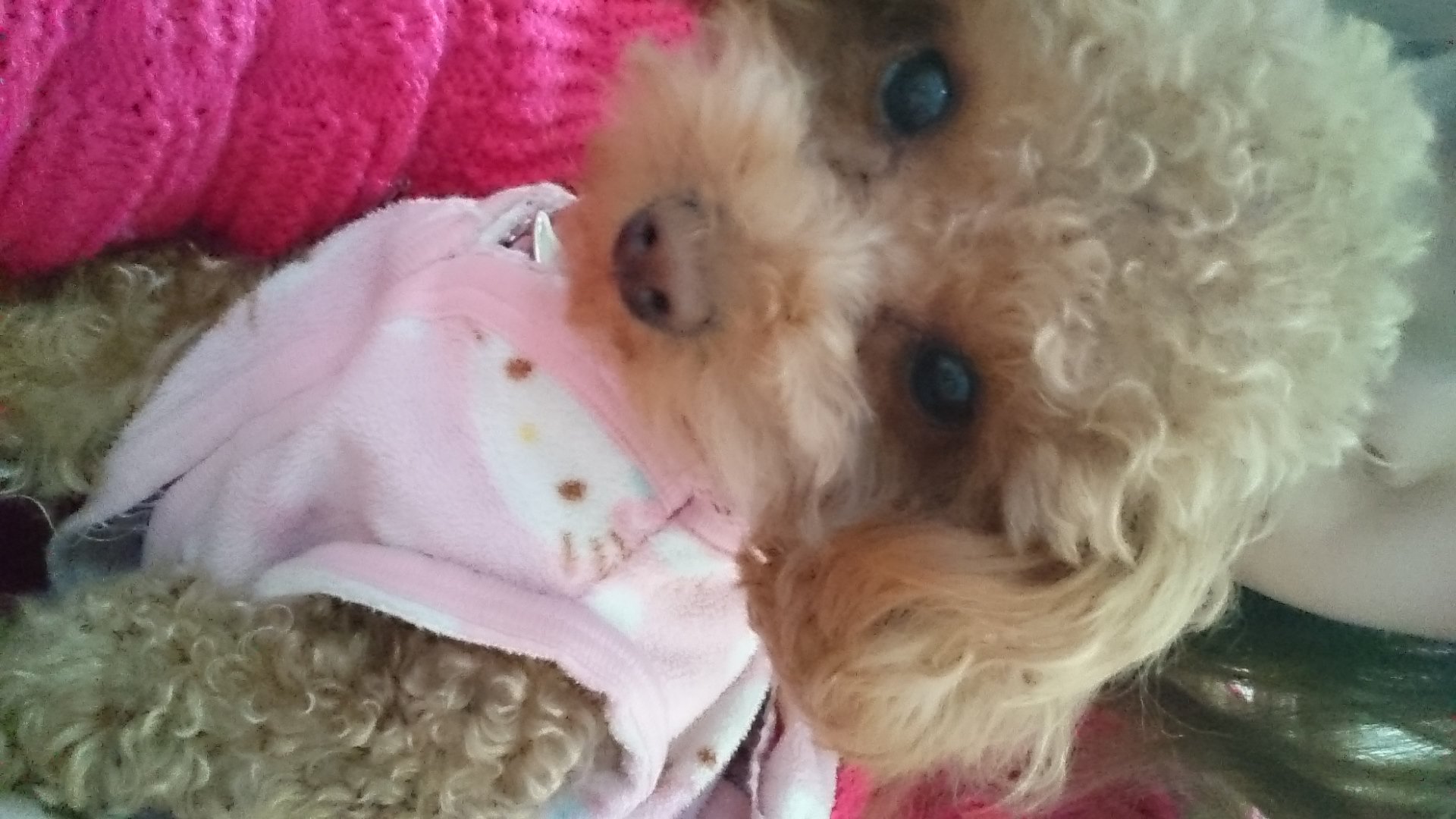 ありちゃ☆ちゃんの2015/1/23 (金) 22:26のブログ