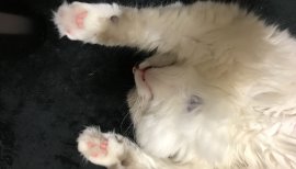 ねー
