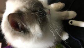 夜勤中