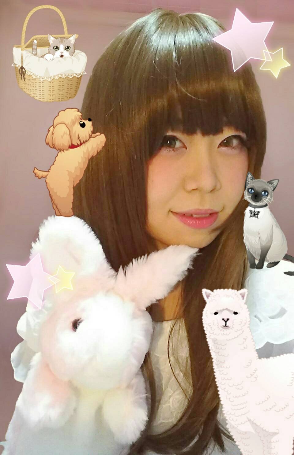 動物に囲まれたい〜！